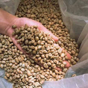 Café Vert Robusta Biologique du Vietnam Certifié USDA et ISO 22000, Taille 18, Qualité Supérieure, Seulement 0,1% de Grains Noirs Cassés, Marque TNFOOD Direct - Product Image 1