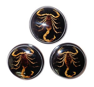Escorpión Dorado, Espécimen Real, Cabujón de Plástico Redondo de 38.5x38.5 mm, Base Plana Negra para Manualidades y Joyería - Product Image 1