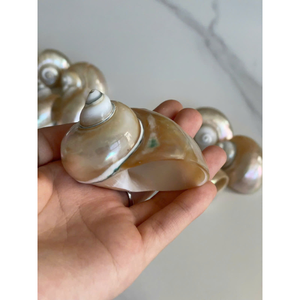 Anillos de Servilleta de Concha Natural Hechos a Mano al por Mayor para Importadores, Minoristas, Tiendas de Artículos para el Hogar y Empresas de Hostelería - Product Image 5