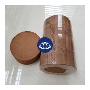 EN TENDENCIA: Fibra de Coco de Primera Calidad para Cultivo de Vegetales y Producción de Flores - Product Image 1