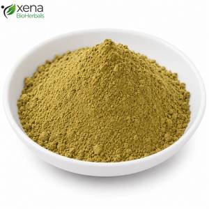 Fournisseur Professionnel d'Herbes Médicinales : Poudre de Terminalia Chebula, Matière Première Standardisée pour Formulations Ayurvédiques, Vente en Gros - Product Image 1