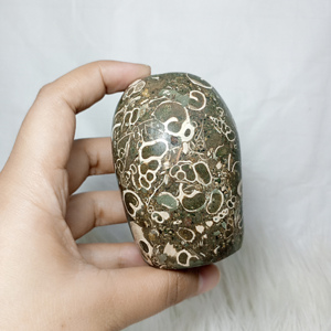 Venta al por mayor de alta calidad Natural Indonesia Turritella Jasper forma libre piedras preciosas artesanía curación cristal 5-7 cm (1Kg/5-7 piezas) - Product Image 3