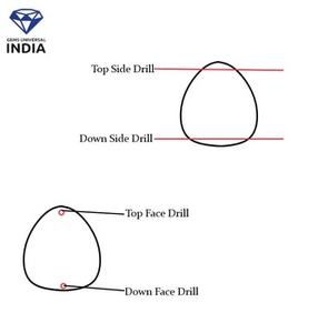 ลูกปัดควอตซ์สโมคกี้ธรรมชาติรูปเปลือกหอยแกะสลักด้วยมือขนาด 12 มม. สำหรับทำเครื่องประดับขายส่ง - Product Image 6