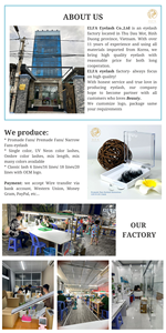 Meilleur label privé plein volume HY LON FIBER Extensions de cils Usine Vente en gros Logo personnalisé Cils longue durée avec CC Curl - Product Image 6