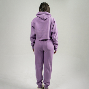 Custom OEM Lady Cropped <b>Fleece</b> Hoodie with Pants <b>Jogger</b> Running 2 Piece Set Spring <b>Woman</b> Two Pcs Fashion Casual - Product Image 2