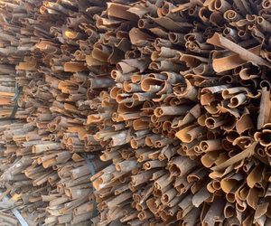 [Spring Crop 2026] Wholesale Price Organic 100% <b>Cinnamon</b> Cassia Premium Grade Sticks OEM Export Vietnam Factory <b>Sweet</b> Spicy - Product Image 5