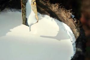 Caoutchouc naturel blanc en latex de qualité supérieure, haute élasticité, pour les fabricants de gants, de ballons et de jouets. - Product Image 5