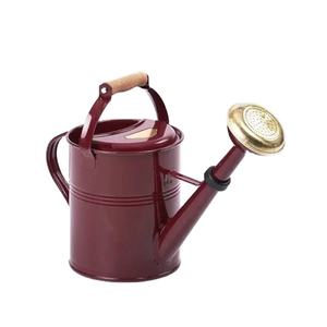 Fresh Arrival Iron Metal Watering Cane Dark Finished Flower Planter <b>Holder</b> Usage for Home Outdoor <b>Garden</b> Supplies Water Cans - Product Image 1