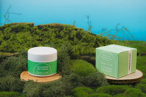 Crème de jour à l'extrait de racine d'Anemarrhena Asphodeloides haut de gamme Anti-âge et Anti-rides réparation Cica OEM/ODM ensemble de soins de la peau pour le visage - Product Image 2