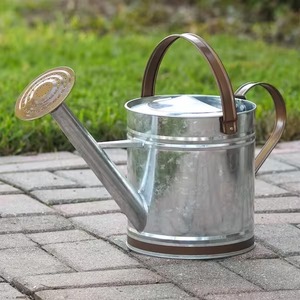 บัวรดน้ำโลหะแบบพรีเมี่ยมสามารถเหล็กทนทานพร้อมพื้นผิวทนสนิมเหมาะสำหรับการดูแลต้นไม้ในร่มและกลางแจ้งมีสไตล์ - Product Image 6
