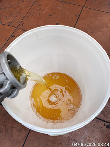 Aceite de Coco Crudo Refinado Orgánico - Opciones de Empaque en Botellas de Plástico y Bidones - Product Image 2