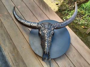 Cráneo de Cuerno de Búfalo Pulido Hecho a Mano en India, Estilo Animal para Colgar en la Pared y Decoración Rústica - Product Image 3