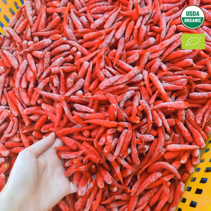 Piment rouge surgelé IQF du Vietnam - 100% pur, entier, emballage sous vide 10kg, emballage OEM, livraison rapide, cultivé en plein air, durée de conservation 12 mois - Product Image 1