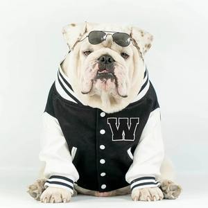 Sweat-shirts pour chiens bicolores à blocs de couleurs, design à manches raglan, vêtements sportifs pour animaux de compagnie, service d'impression de logo personnalisé, directement de l'usine - Product Image 5