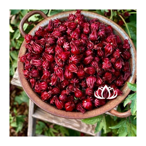 Thé en poudre de fleurs d'hibiscus séchées aromatisé, thé fleuri de qualité supérieure, emballage en vrac 1kg pour la minceur Charlie Dinh - Product Image 3