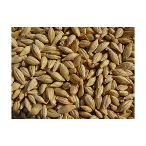 Aliments pour animaux naturels et biologiques de première qualité en gros, orge en sac de 50 kg en provenance des Pays-Bas avec une durée de conservation de 2 ans - Product Image 5