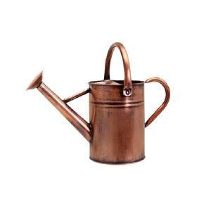 Arrosoir en métal durable finition dorée pour plantes d'intérieur et d'extérieur, anti-fuite - Product Image 2