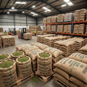 Haricots Mungo de Haute Qualité, Légumineuses Vertes Séchées, Farine de Haricots Dal, Haricots Mungo Bruts pour l'Industrie, Approvisionnement en Vrac, Qualité Export, Ingrédient Alimentaire - Product Image 6