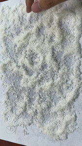 Producto Popular 2024, Coco Liofilizado Orgánico Vietnamita de Alta Calidad, Bajo/Alto en Grasa, Exportación a Granel, Sabor Dulce - Product Image 5