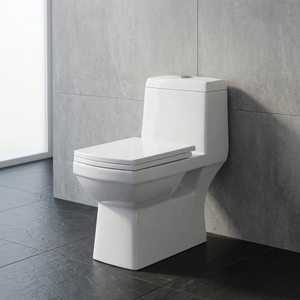 Premium EWC Ceramic One Piece Water Closet Indian Factory Asian Toilet For Modern Bathroom Sanitary Ware Projects - Product Image 2