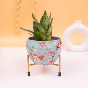 Juego de 3 Macetas de Metal Negro con Soporte, Recubrimiento en Polvo y Plateado, Diseño Nuevo, Mejora el Ambiente del Hogar y Jardín - Product Image 4