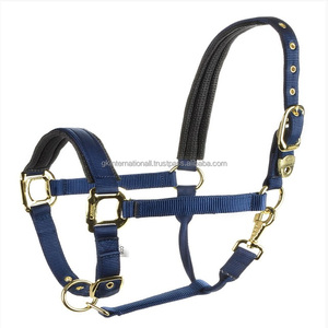 Fournitures de gros courses de chevaux produits équestres licou de cheval en nylon léger avec rembourrage noir cousu et raccords dorés - Product Image 2