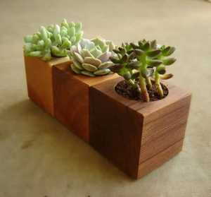 Set of 3 <b>Rectangular</b> Solid Wooden Planter Block Trio Tabletop Succulent <b>Flower</b> <b>Pot</b> Desk Organizer Container Box - Product Image 1