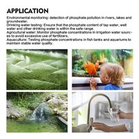 Bandelettes de test d'eau pour la détection du phosphate (PO4³-) de 0 à 500 mg/L, pour l'eau potable, l'agriculture et l'aquaculture, 50 bandelettes