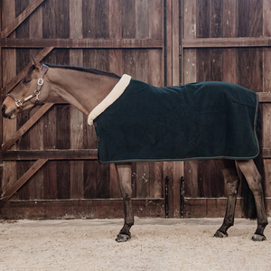 Couverture de cheval de luxe OEM en tissu anti-bouloches, respirante, avec rembourrage en coton, en tissu Ripstop et ferrures en acier inoxydable - Product Image 2