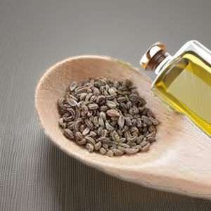 Aceite de hoja de perejil natural 100% para el cuerpo, grado farmacéutico, tamaño de paquete a granel disponible en tambores y latas de 25kg y 180 kg - Product Image 2