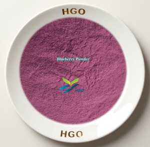โรงงาน HGO จัดจำหน่ายผงบลูเบอร์รี่บริสุทธิ์จากธรรมชาติ (เกรดอาหาร) ผงผลไม้ (ผงผลไม้อบแห้งแบบแช่เยือกแข็ง) - Product Image 1