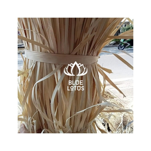 Qualité Fiable : Matière Première en Feuilles de Palmier Corypha Lecomtei du Vietnam pour la Fabrication Artisanale et la Production de Paniers – Exportation en Gros - Product Image 1