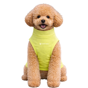T-shirt pour chien anti-UV, couleur sauge clair, léger, protection UV, été, doux, extensible, respirant, rafraîchissant - Product Image 1