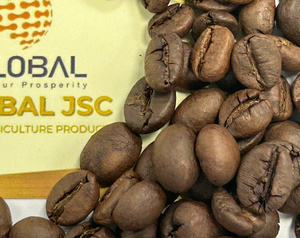เมล็ดกาแฟคั่วคัดพิเศษ พรีเมียม ซีเล็คชั่น S18 ขนาดใหญ่ คั่วแบบสม่ำเสมอ ปริมาณคาเฟอีนสูง สำหรับเครื่องชงเอสเพรสโซ - Product Image 5