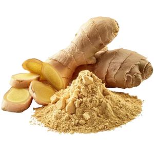 Polvo de Raíz de Jengibre 100% Puro de Alta Calidad, Extracto Herbal Soluble en Agua, Disponible a Granel al Mejor Precio - Product Image 2