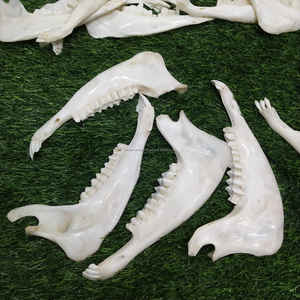 Cuchara para Zapatos de Madera de Mango Pequeña, Estilo Animal, Ecológica, Hecha a Mano, a un Precio Competitivo - Product Image 2