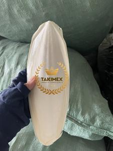 100% hueso de sepia seco Natural para pájaros y reptiles hueso de Sepia muy alto en calcio para mascotas Origen de Vietnam - Product Image 2