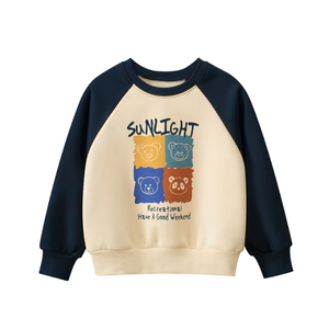 Sweat-shirts à capuche personnalisés pour tout-petits garçons, 100 % coton tricoté, couleur unie décontractée, pull oversize en coton bouclette - Product Image 6