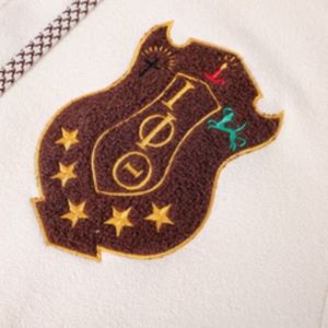 Iota Phi Theta Neutral Quarter Button <b>Hoodie</b> Chenille Crest Premium Greek Apparel Fraternity Pullover - Product Image 3