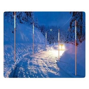 Marcadores Flexibles para Entradas de Vehículos, Estacas Reflectantes Huecas de FRP para Nieve - Product Image 5