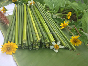 Pailles à boire en herbe naturelle de haute qualité, pailles jetables écologiques en herbe pour bars, cafés et restaurants, fabriquées au Vietnam - Product Image 1