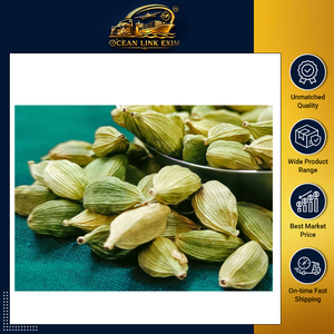 Cardamomo Verde Seco de Calidad de Exportación, Vainas Enteras, Procesado AD, Especia Cruda Premium con Rico Aroma para Compradores Mayoristas Globales - Product Image 2