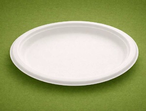 7 Inch Biodegradable Sugarcane Bagasse Plate – <b>Compostable</b> Disposable Plate - Product Image 5