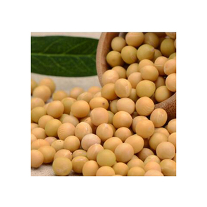 Graines de soja de qualité export pour le commerce mondial et l'industrie agricole, avec des graines de soja de première qualité préservant la pureté naturelle - Product Image 2