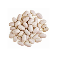 Haricots rouges foncés, bruns, ou haricots pinto de qualité, haricots blancs