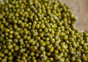 Proveedor mayorista de frijoles mung verdes frescos a granel / frijoles moong enteros de alta calidad y gran stock con envío rápido a Austria - Product Image 4