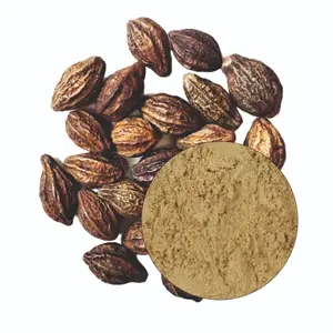 Polvo de Harad al por Mayor, Polvo Natural de Terminalia Chebula para Medicina Ayurvédica, Suplementos Herbales y Productos para el Cuidado de la Salud - Product Image 4