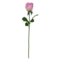 Künstliche Rote Rosen aus Plastik mit Langem Stiel für Innen- und Außendekoration