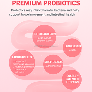 Probiótico en Stick para Mujeres con Prebióticos 30 Sobres para Salud Vaginal Equilibrio Intestinal y Bienestar Digestivo Suplemento OEM de Corea - Product Image 6