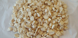 Maíz Amarillo Premium Grado 1-GMO, Maíz Seco Fresco con 99.99% de Pureza, 12 Meses de Vida Útil para Alimentación Humana y Animal - Product Image 5